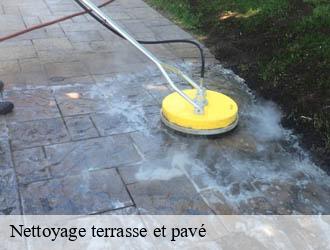 Nettoyage terrasse et pavé 03 Allier Entreprise Capello