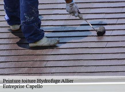 Peinture toiture Hydrofuge 03 Allier Entreprise Capello