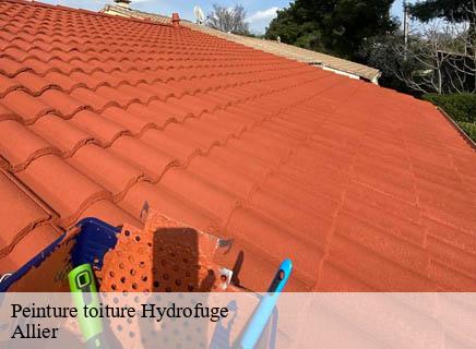 Peinture toiture Hydrofuge 03 Allier Entreprise Capello