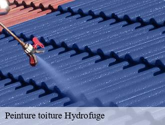 Peinture toiture Hydrofuge 03 Allier Entreprise Capello