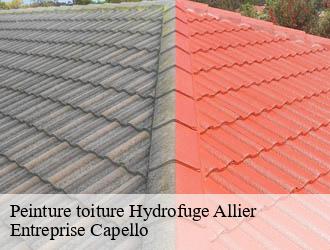 Peinture toiture Hydrofuge 03 Allier Entreprise Capello