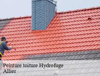 Peinture toiture Hydrofuge 03 Allier Entreprise Capello