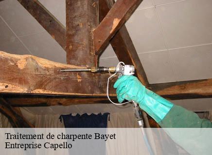 Traitement de charpente bayet-03500 Entreprise Capello