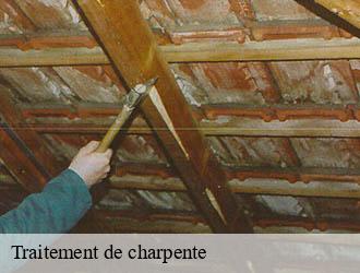 Traitement de charpente bayet-03500 Entreprise Capello