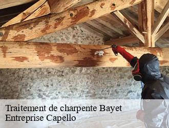 Traitement de charpente bayet-03500 Entreprise Capello