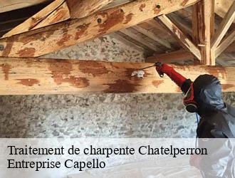 Traitement de charpente chatelperron-03220 Entreprise Capello
