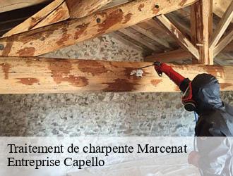 Traitement de charpente marcenat-03260 Entreprise Capello