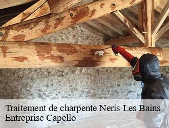 Traitement de charpente neris-les-bains-03310 Entreprise Capello