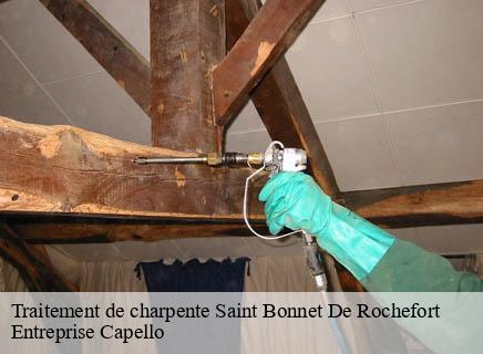 Traitement de charpente saint-bonnet-de-rochefort-03800 Entreprise Capello