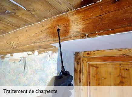 Traitement de charpente saint-sauvier-03370 Entreprise Capello