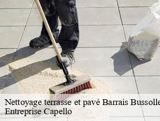 Nettoyage terrasse et pavé barrais-bussolles-03120 Entreprise Capello