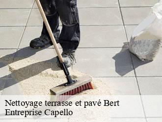 Nettoyage terrasse et pavé bert-03130 Entreprise Capello
