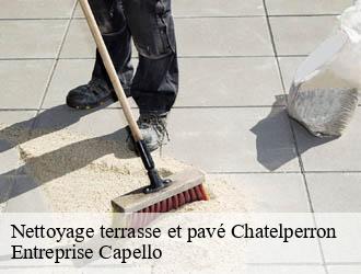 Nettoyage terrasse et pavé chatelperron-03220 Entreprise Capello