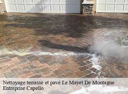 Nettoyage terrasse et pavé le-mayet-de-montagne-03250 Entreprise Capello