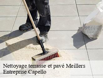 Nettoyage terrasse et pavé meillers-03210 Entreprise Capello