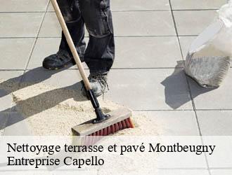 Nettoyage terrasse et pavé montbeugny-03340 Entreprise Capello