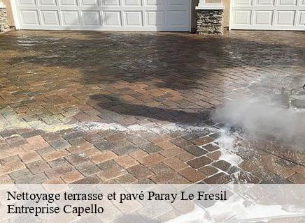 Nettoyage terrasse et pavé paray-le-fresil-03230 Entreprise Capello