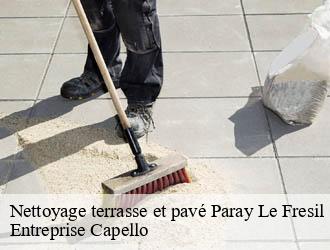Nettoyage terrasse et pavé paray-le-fresil-03230 Entreprise Capello