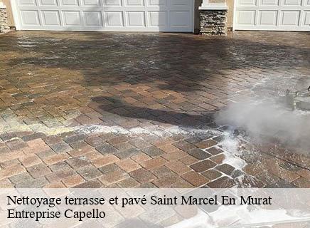 Nettoyage terrasse et pavé saint-marcel-en-murat-03390 Entreprise Capello