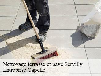 Nettoyage terrasse et pavé servilly-03120 Entreprise Capello