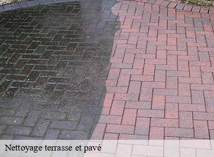 Nettoyage terrasse et pavé  treteau-03220 Entreprise Capello