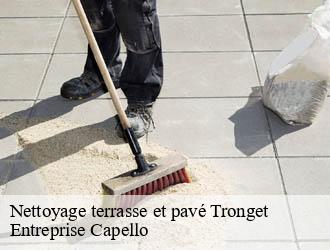 Nettoyage terrasse et pavé tronget-03240 Entreprise Capello