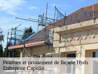 Peinture et ravalement de façade hyds-03600 Entreprise Capello