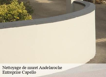 Nettoyage de muret andelaroche-03120 Entreprise Capello