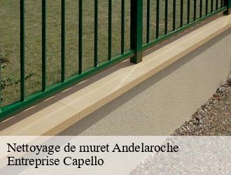 Nettoyage de muret andelaroche-03120 Entreprise Capello