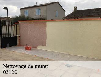 Nettoyage de muret andelaroche-03120 Entreprise Capello