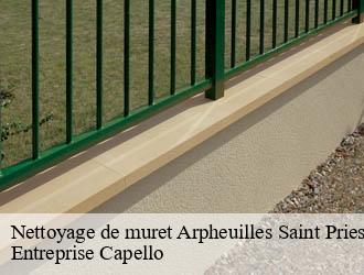 Nettoyage de muret arpheuilles-saint-priest-03420 Entreprise Capello
