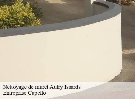 Nettoyage de muret autry-issards-03210 Entreprise Capello