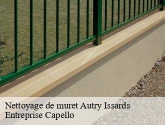Nettoyage de muret autry-issards-03210 Entreprise Capello