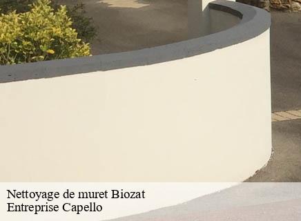 Nettoyage de muret biozat-03800 Entreprise Capello
