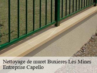 Nettoyage de muret buxieres-les-mines-03440 Entreprise Capello
