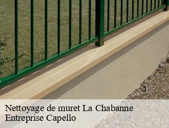 Nettoyage de muret la-chabanne-03250 Entreprise Capello