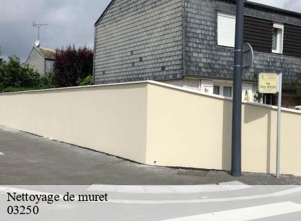 Nettoyage de muret chatel-montagne-03250 Entreprise Capello