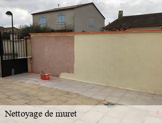 Nettoyage de muret chatel-montagne-03250 Entreprise Capello