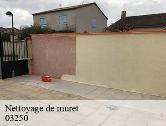 Nettoyage de muret chatel-montagne-03250 Entreprise Capello