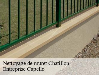 Nettoyage de muret chatillon-03210 Entreprise Capello