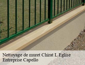 Nettoyage de muret chirat-l-eglise-03330 Entreprise Capello