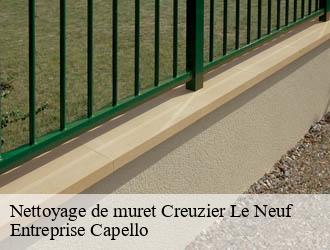 Nettoyage de muret creuzier-le-neuf-03300 Entreprise Capello
