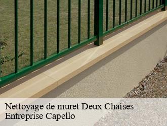 Nettoyage de muret deux-chaises-03240 Entreprise Capello