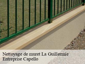 Nettoyage de muret la-guillermie-03250 Entreprise Capello