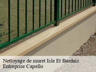 Nettoyage de muret isle-et-bardais-03360 Entreprise Capello