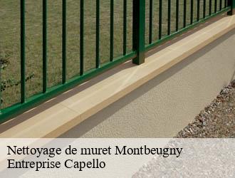 Nettoyage de muret montbeugny-03340 Entreprise Capello