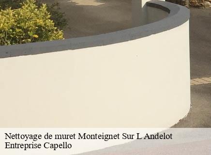 Nettoyage de muret monteignet-sur-l-andelot-03800 Entreprise Capello
