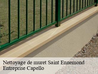 Nettoyage de muret saint-ennemond-03400 Entreprise Capello