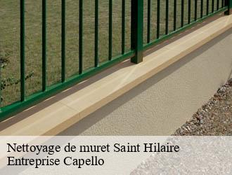 Nettoyage de muret saint-hilaire-03440 Entreprise Capello