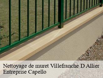 Nettoyage de muret villefranche-d-allier-03430 Entreprise Capello